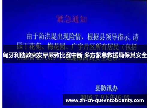 匈牙利助教突发晕厥致比赛中断 多方紧急救援确保其安全